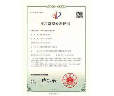 Utility Model Patent Certificate