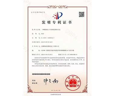 Patent for invention